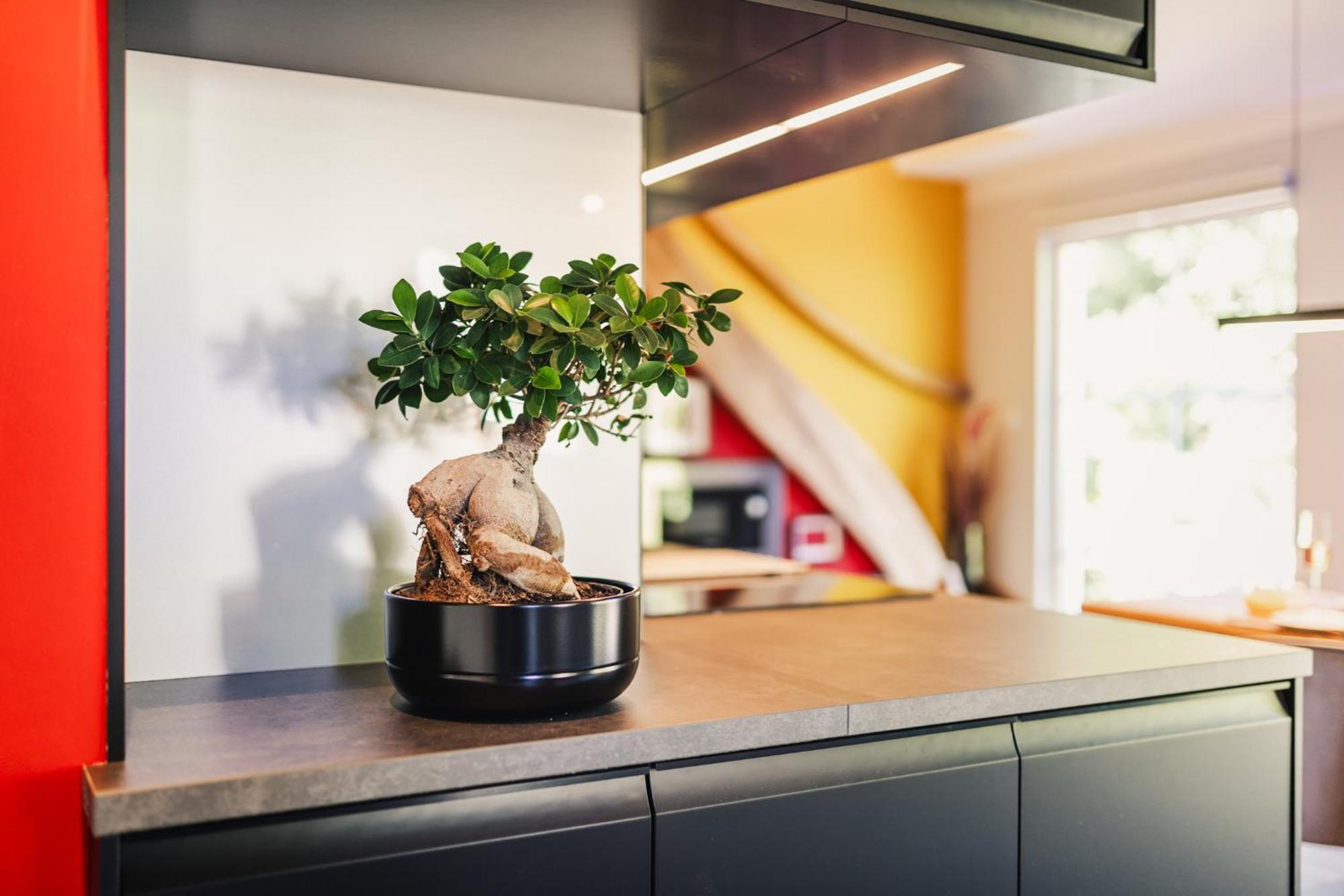Ferienwohnung "Steernkieker" - Ankommen Und Entspannen Klausdorf  Exterior foto